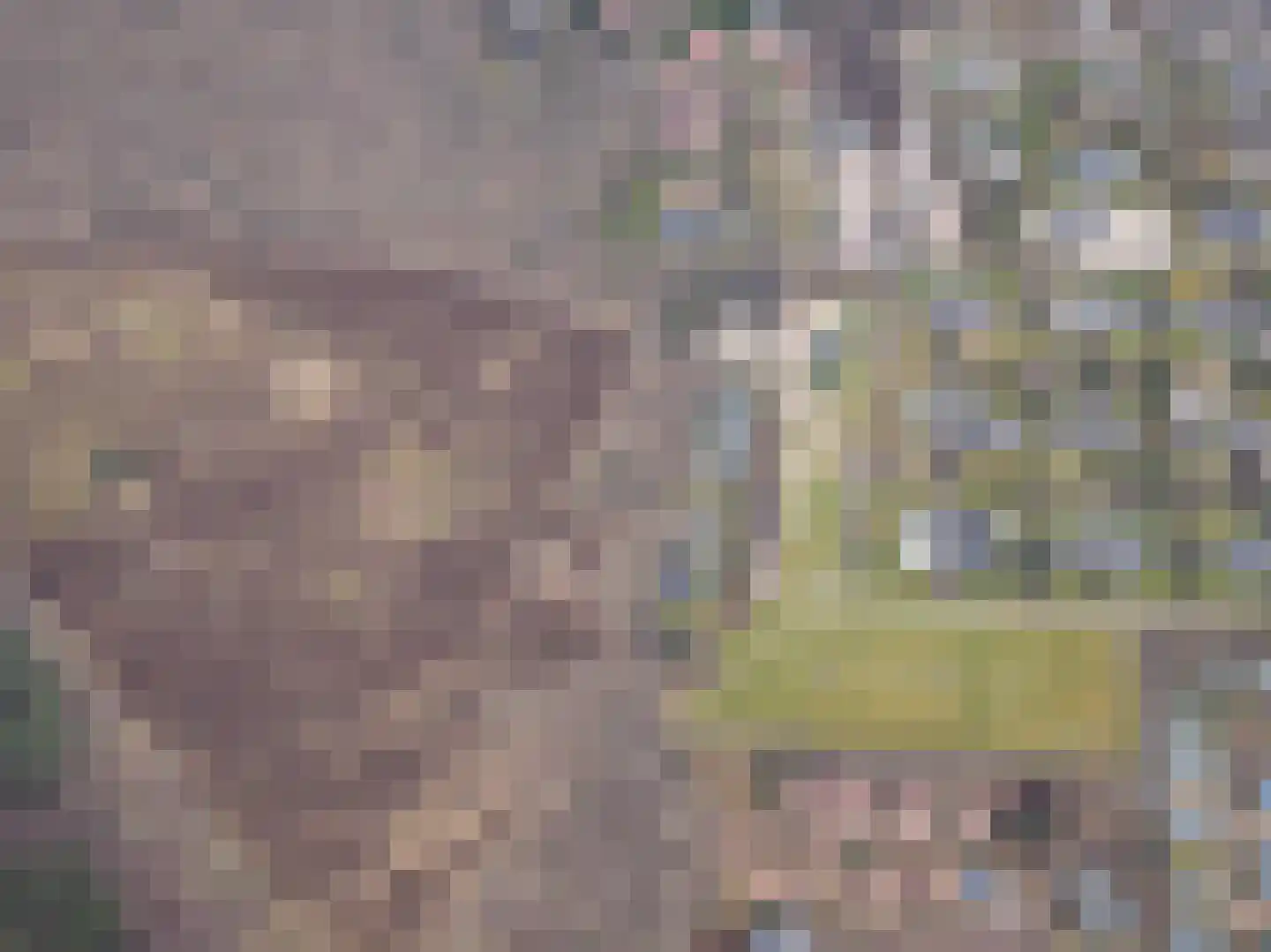 Californiëweg 345 De Koog thumbnail 31