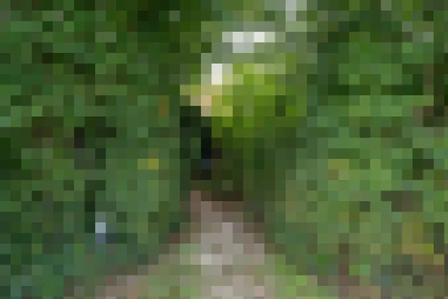 Californiëweg 345 De Koog thumbnail 32