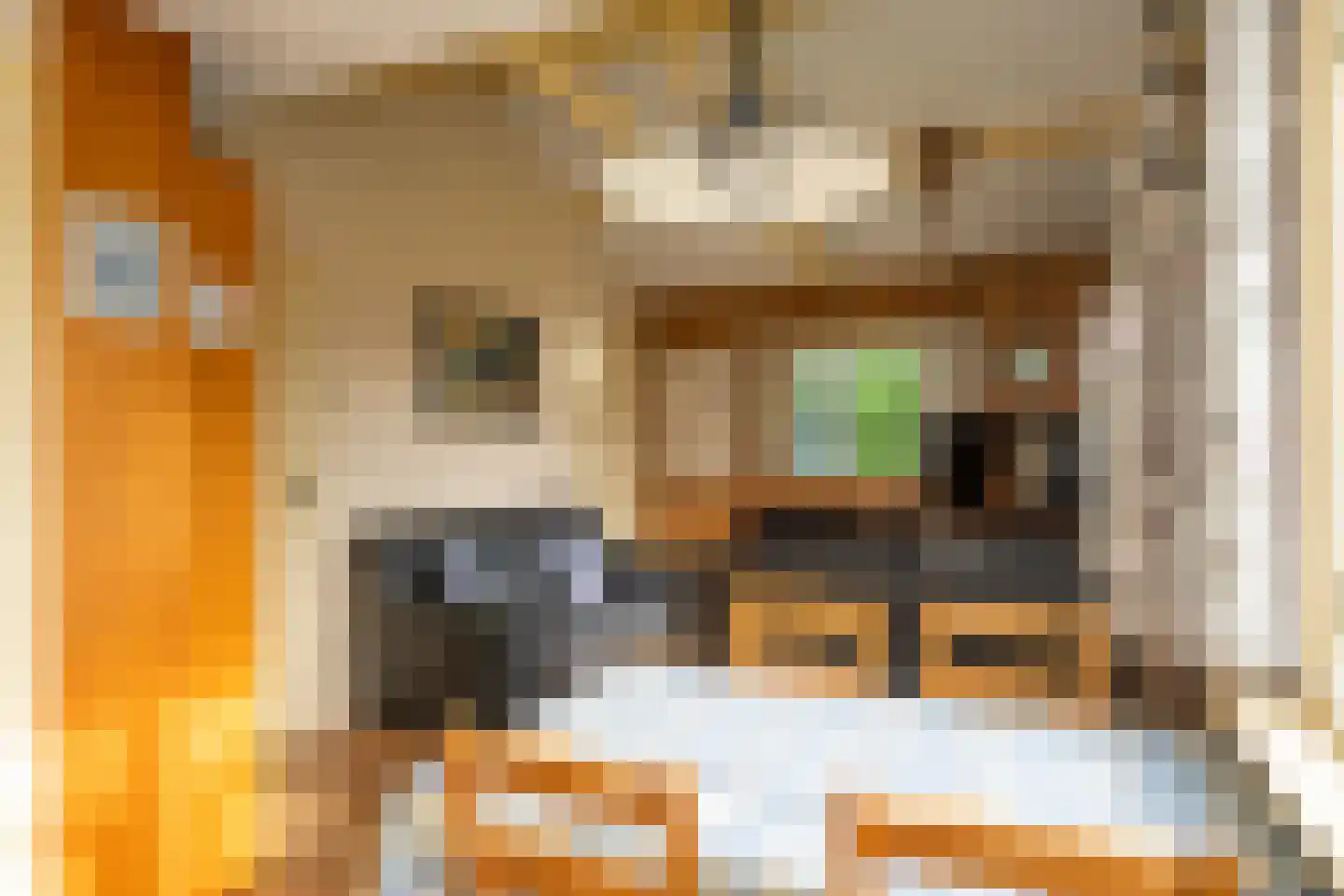 Californiëweg 345 De Koog thumbnail 7
