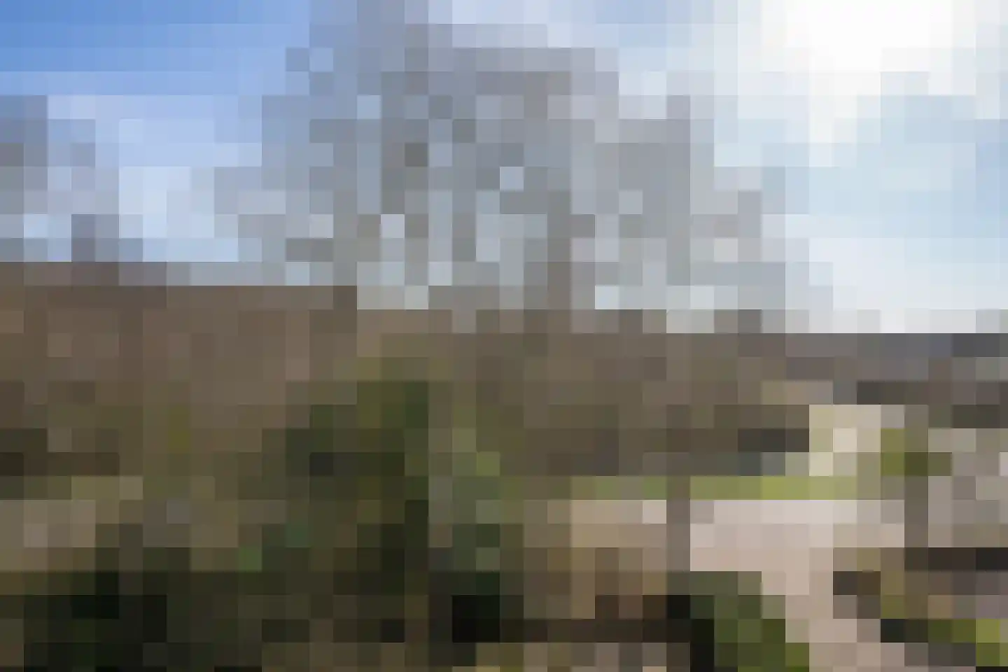 Californiëweg 423 De Koog thumbnail 16
