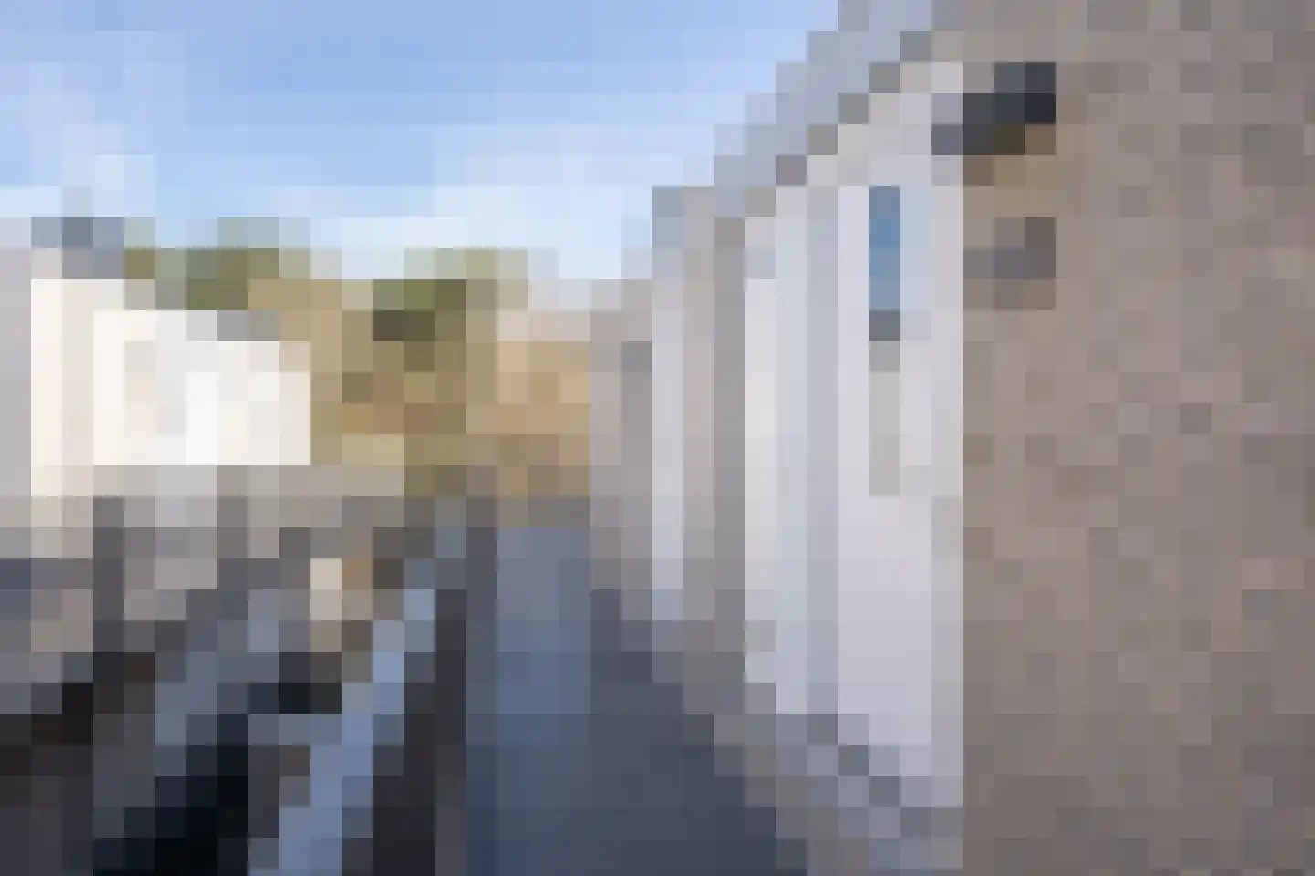 Californiëweg 423 De Koog thumbnail 46