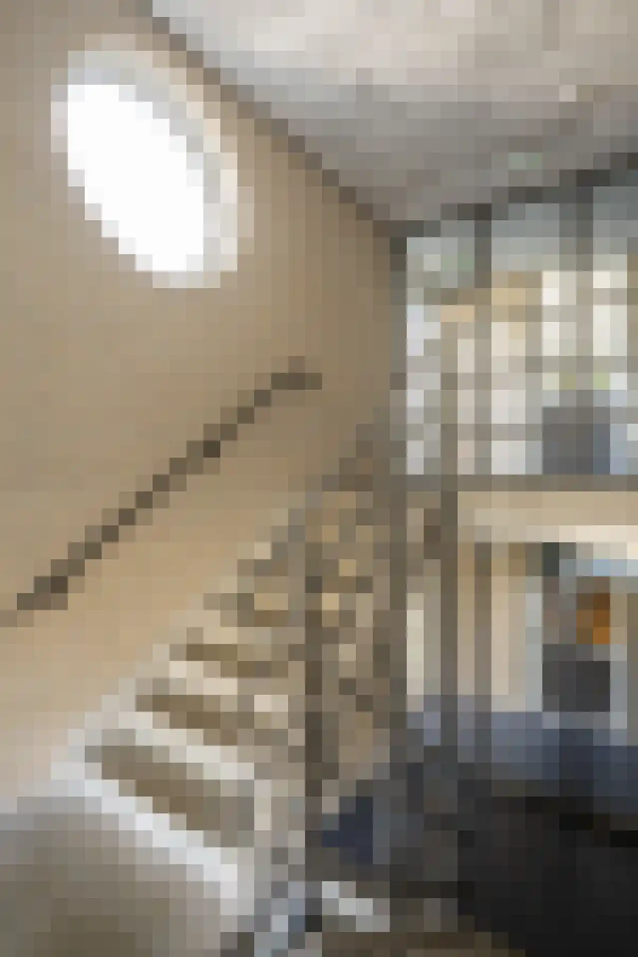 Californiëweg 423 De Koog thumbnail 53