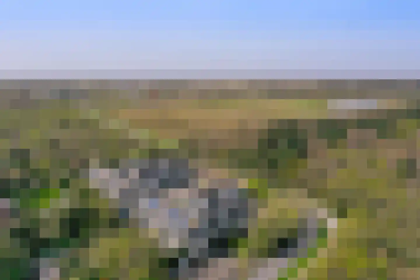 Californiëweg 435 De Koog thumbnail 33