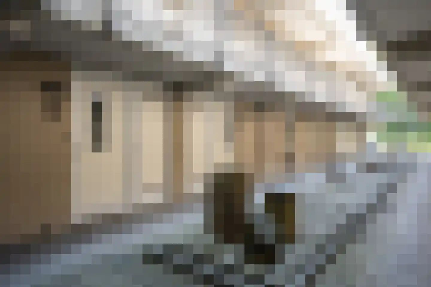 Californiëweg 435 De Koog thumbnail 5