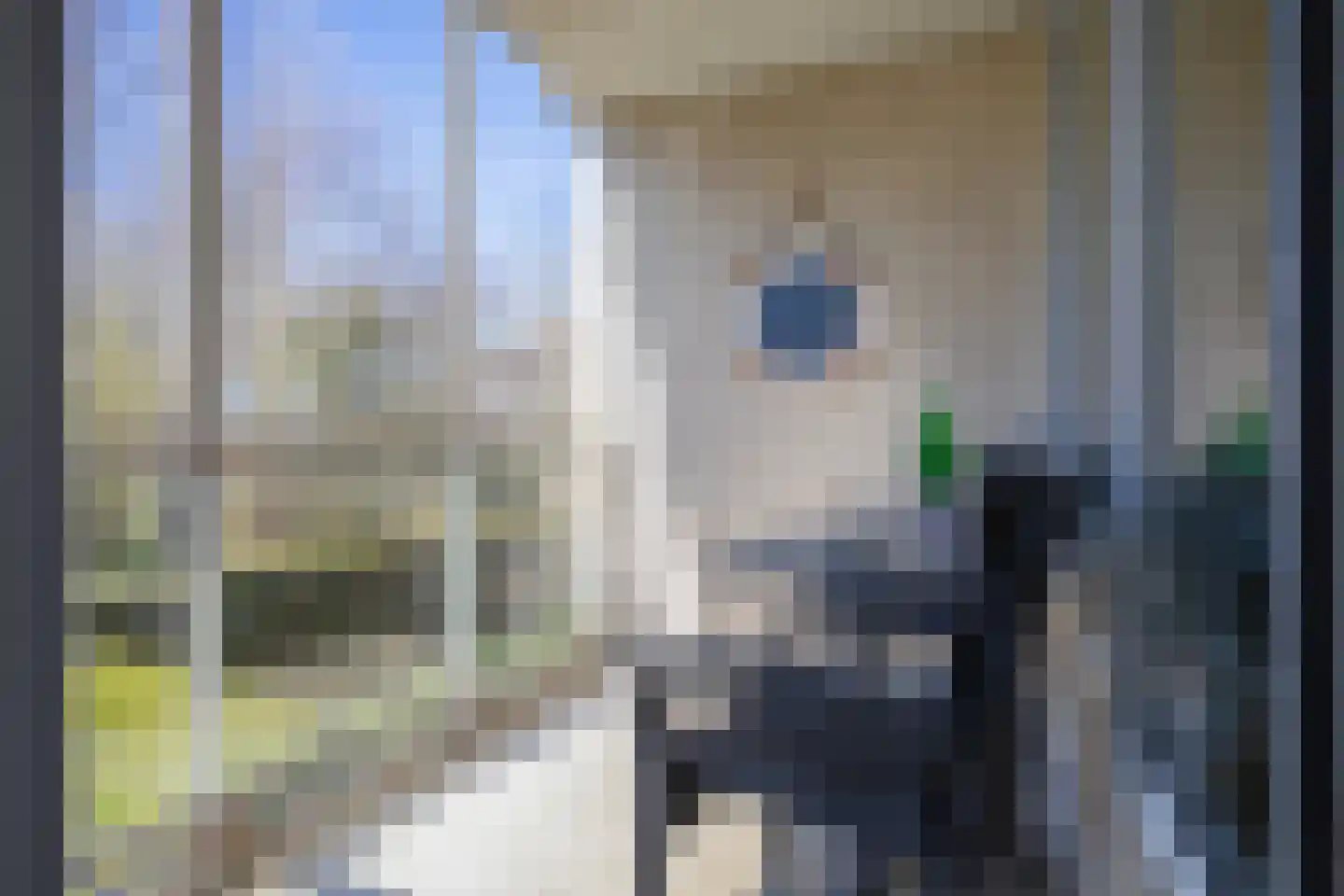 Californiëweg 461 De Koog thumbnail 7
