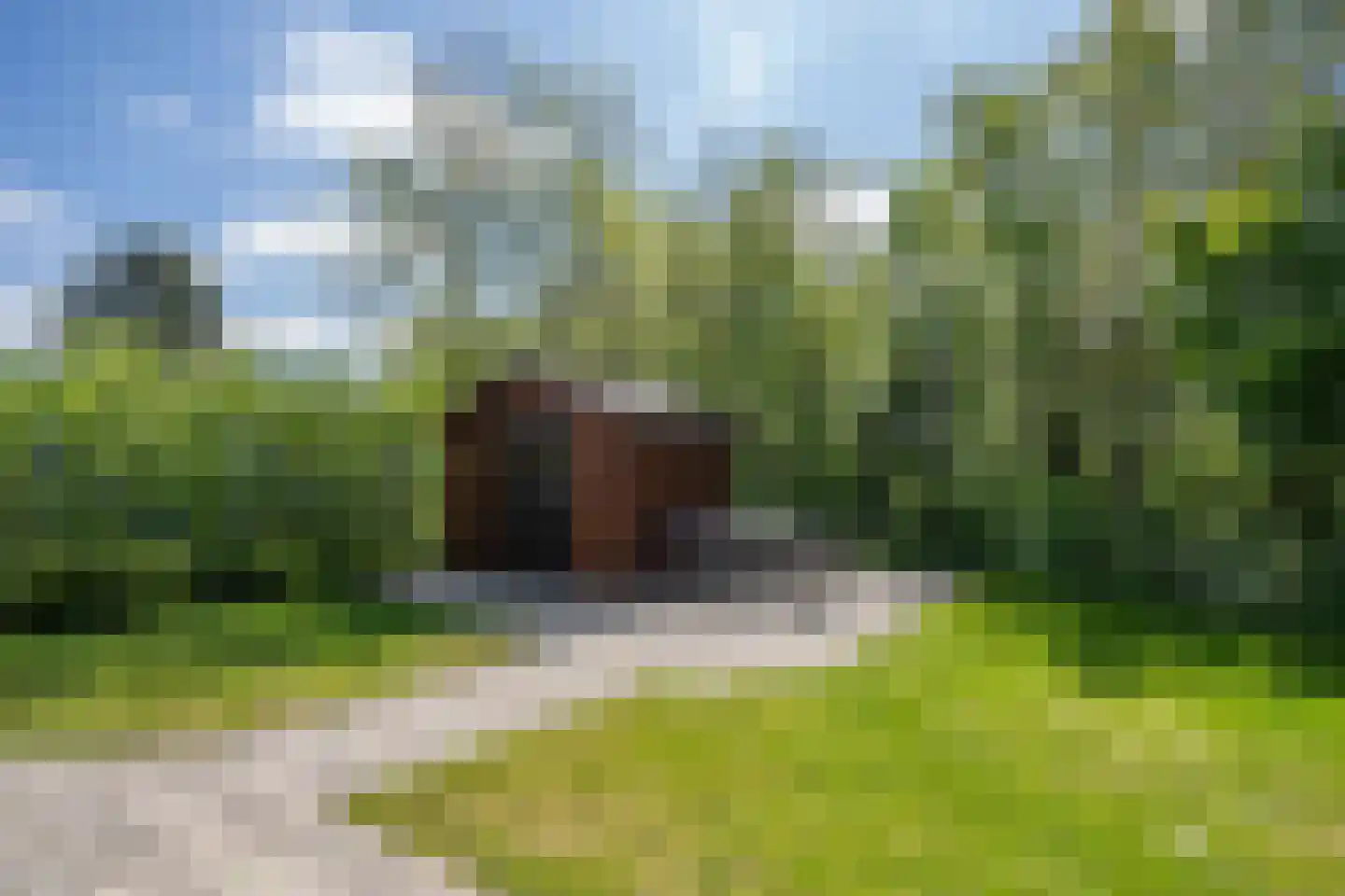 Californiëweg 49 De Koog thumbnail 28
