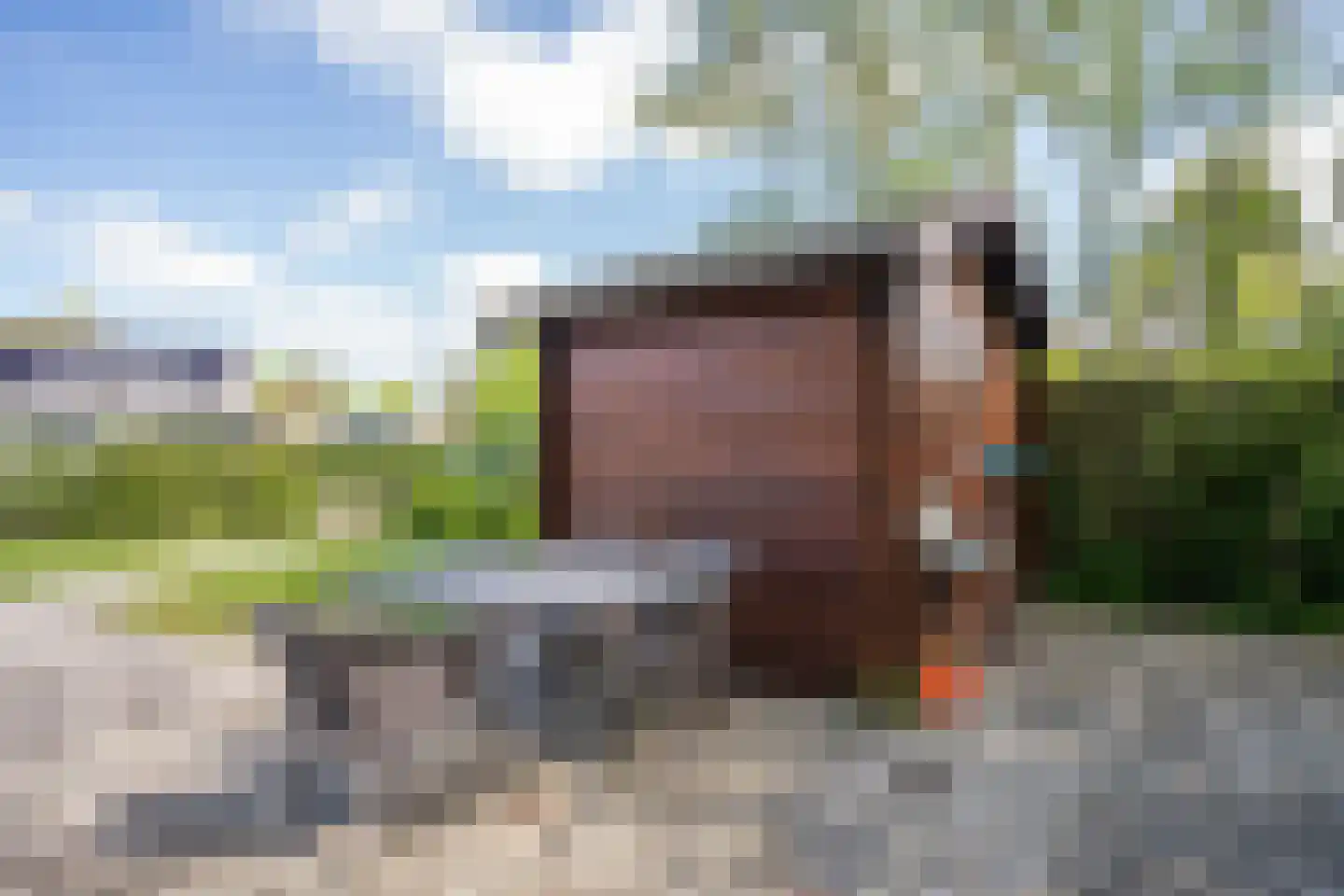 Californiëweg 49 De Koog thumbnail 36