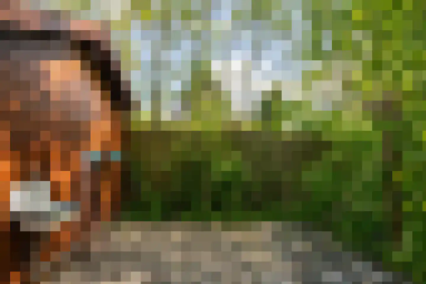 Californiëweg 49 De Koog thumbnail 38