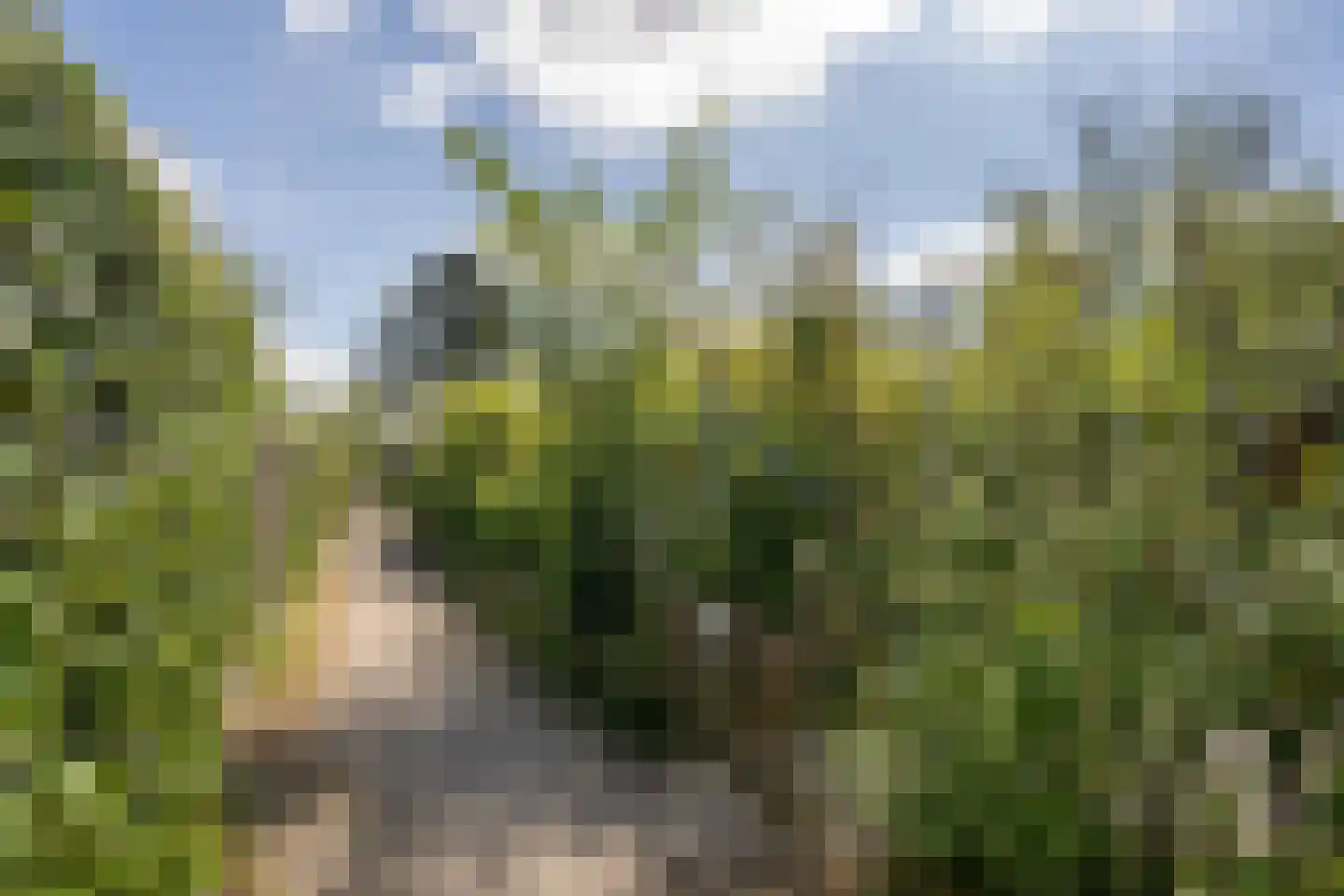 Californiëweg 49 De Koog thumbnail 40