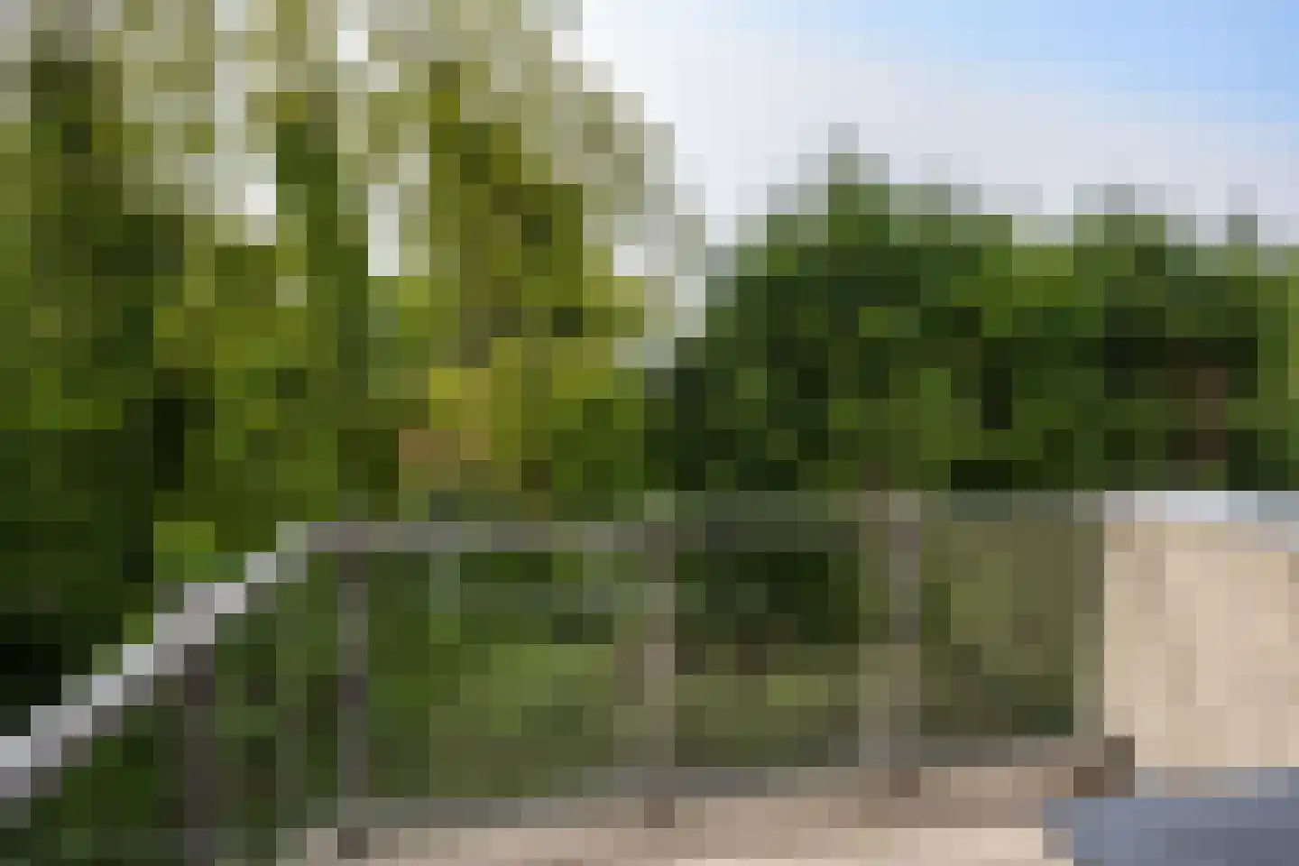 Californiëweg 503 De Koog thumbnail 13