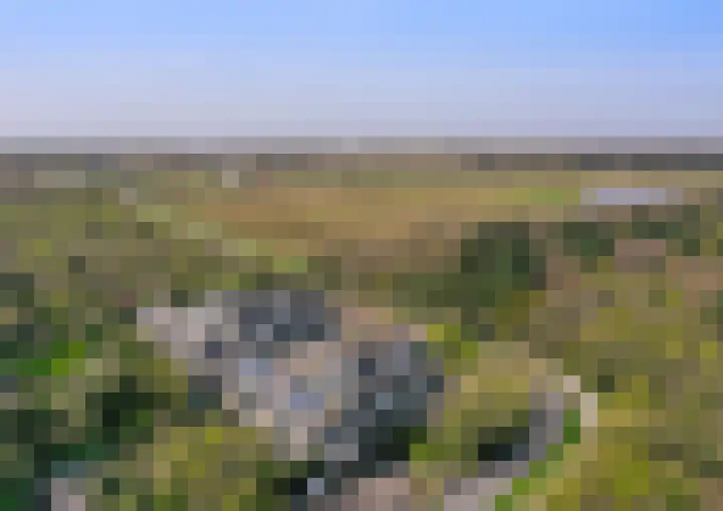 Californiëweg 503 De Koog thumbnail 44