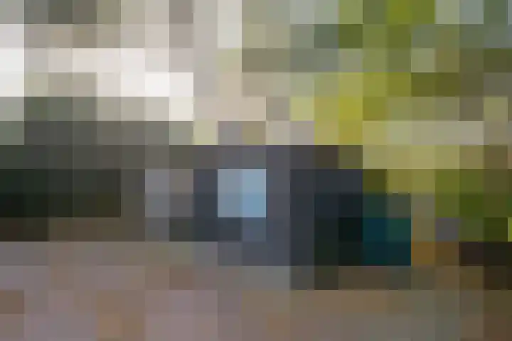 Californiëweg 81 De Koog thumbnail 41
