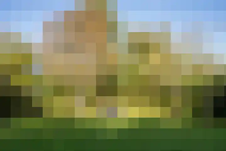 Californiëweg 81 De Koog thumbnail 42