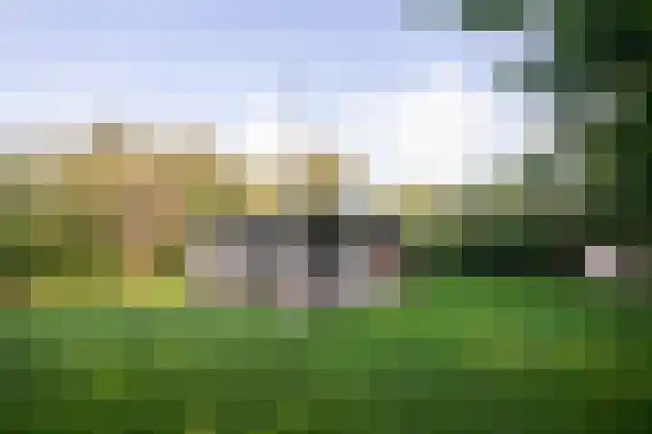 Californiëweg 94 De Koog thumbnail 40