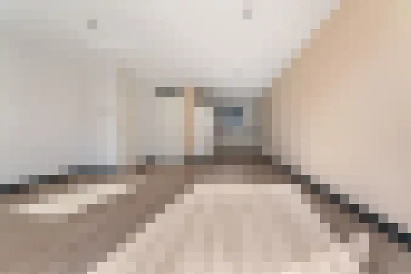 Caligastraat 45 Huissen thumbnail 13