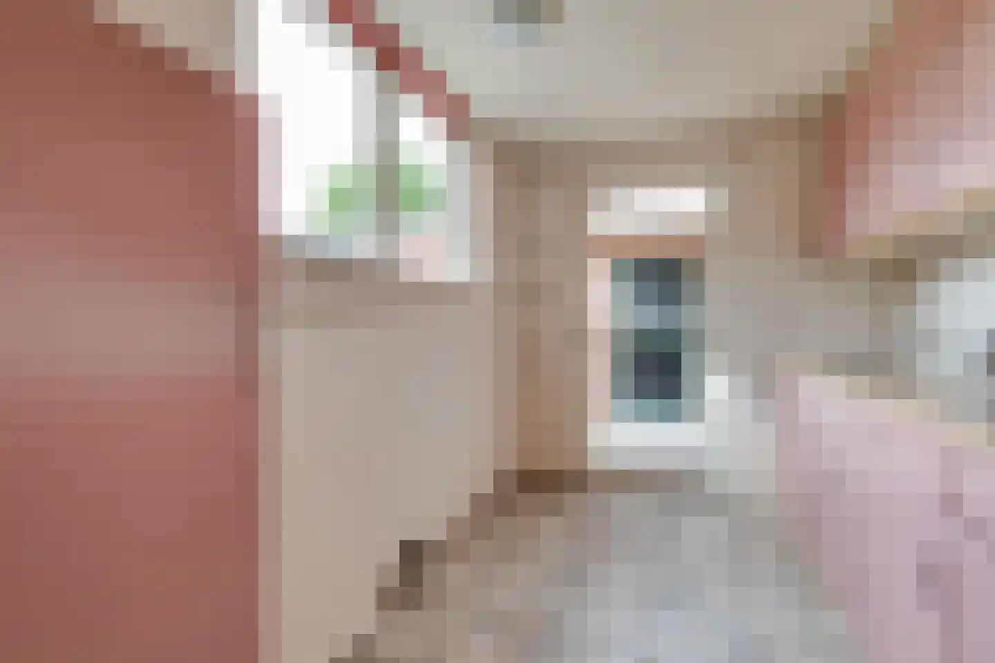 Calixtusstraat 8 Groenlo thumbnail 10