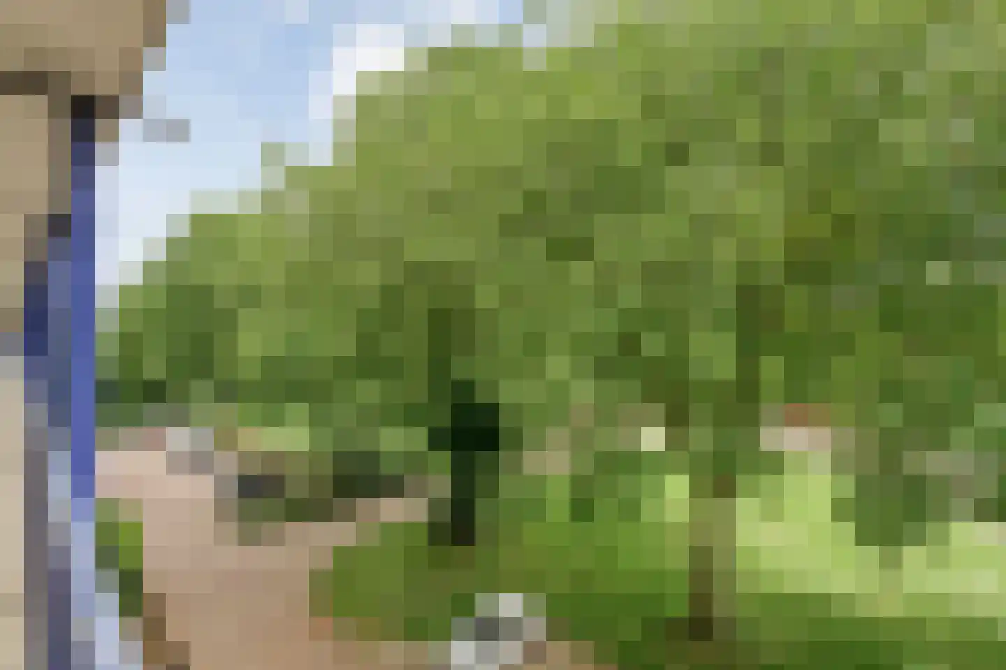 Calkoenstraat 39 Hoogeveen thumbnail 24