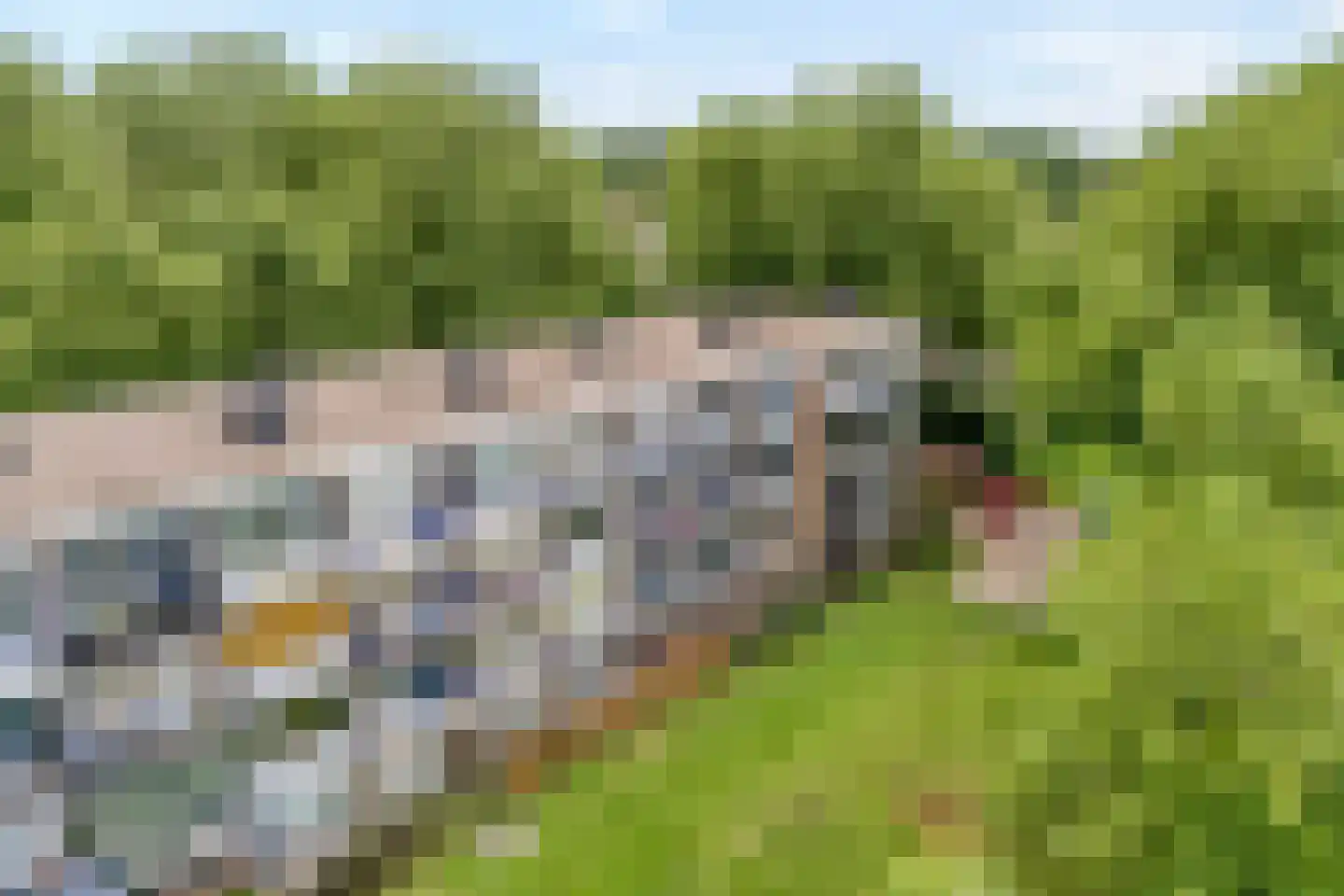 Calkoenstraat 39 Hoogeveen thumbnail 38