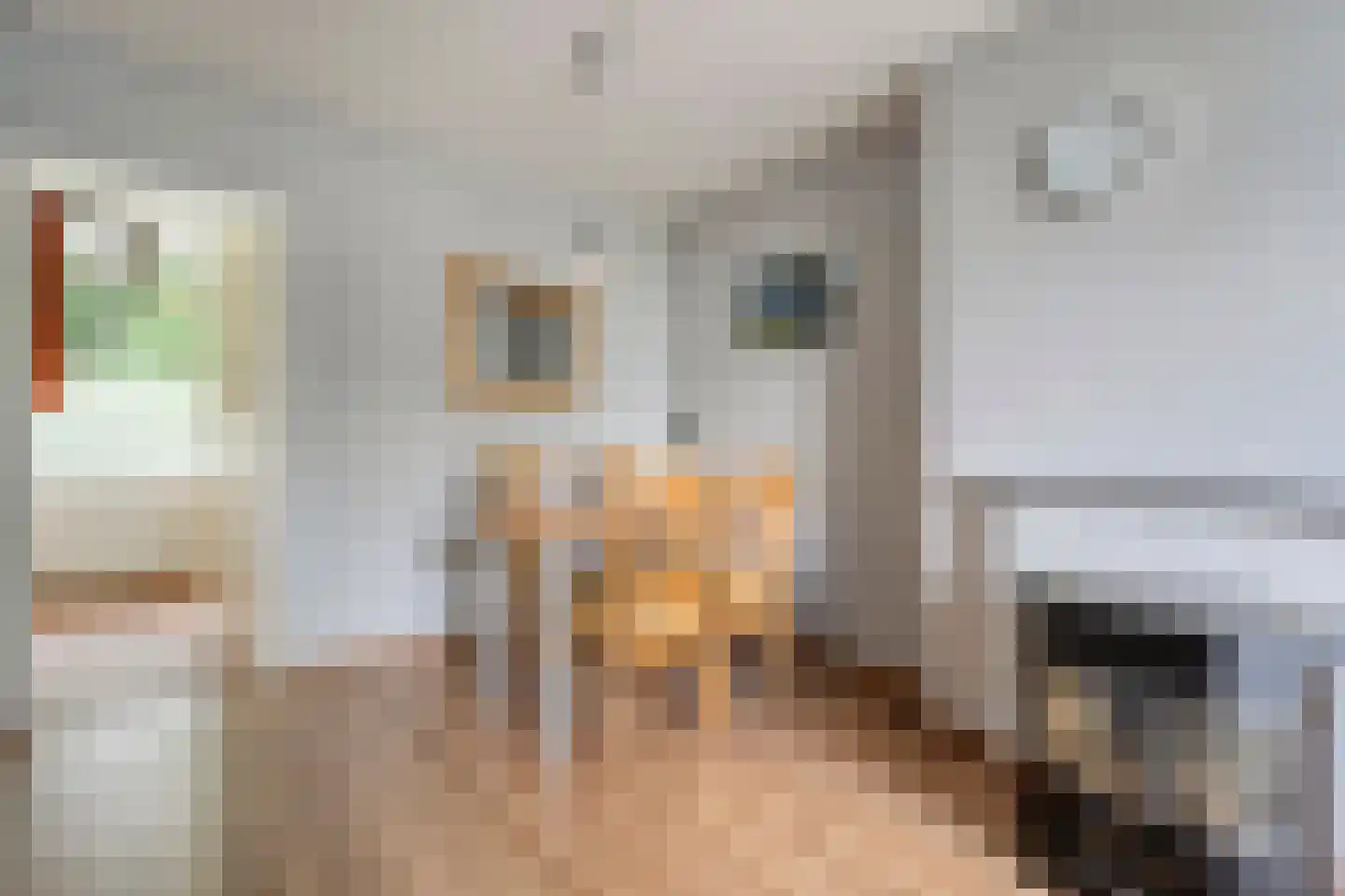 Calkoenstraat 39 Hoogeveen thumbnail 4