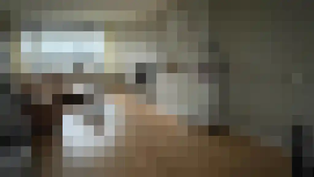 Calkoenstraat 47 Hoogeveen thumbnail 4