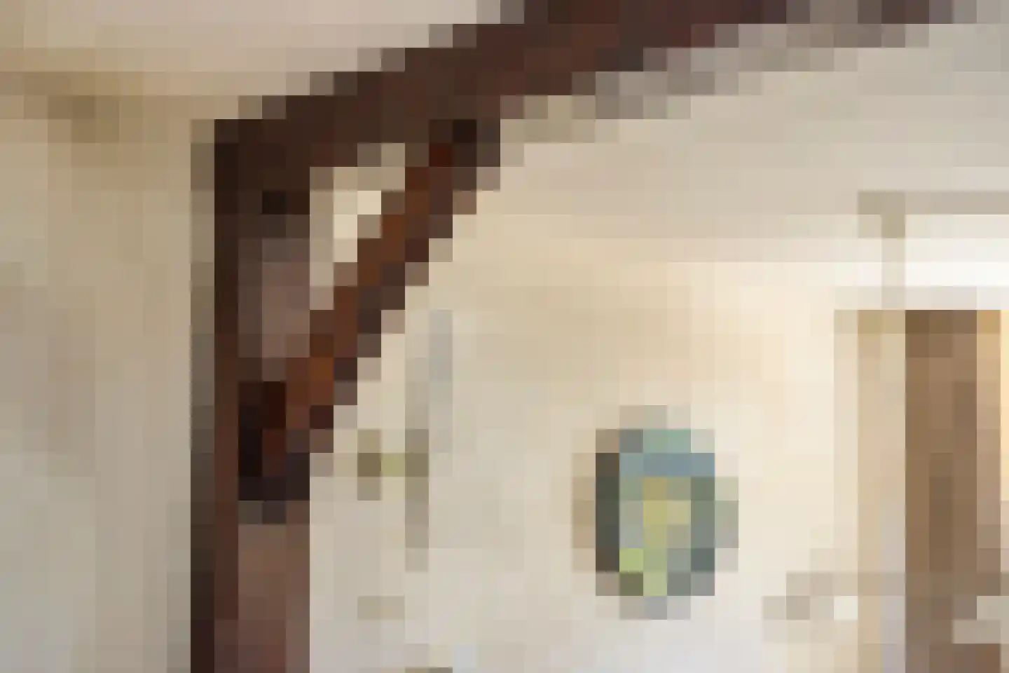 Calkoenstraat 7 Hoogeveen thumbnail 13