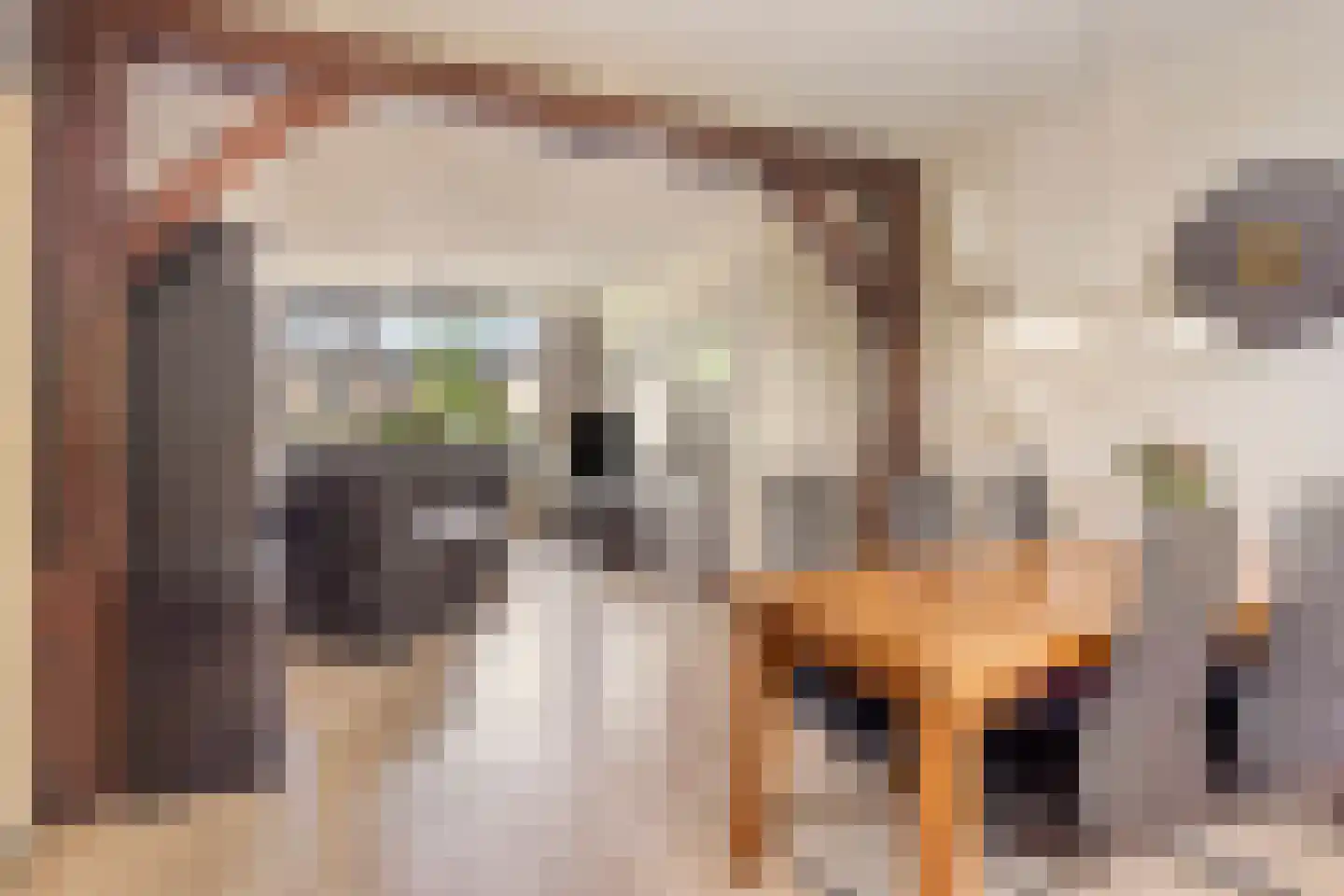Calkoenstraat 7 Hoogeveen thumbnail 14