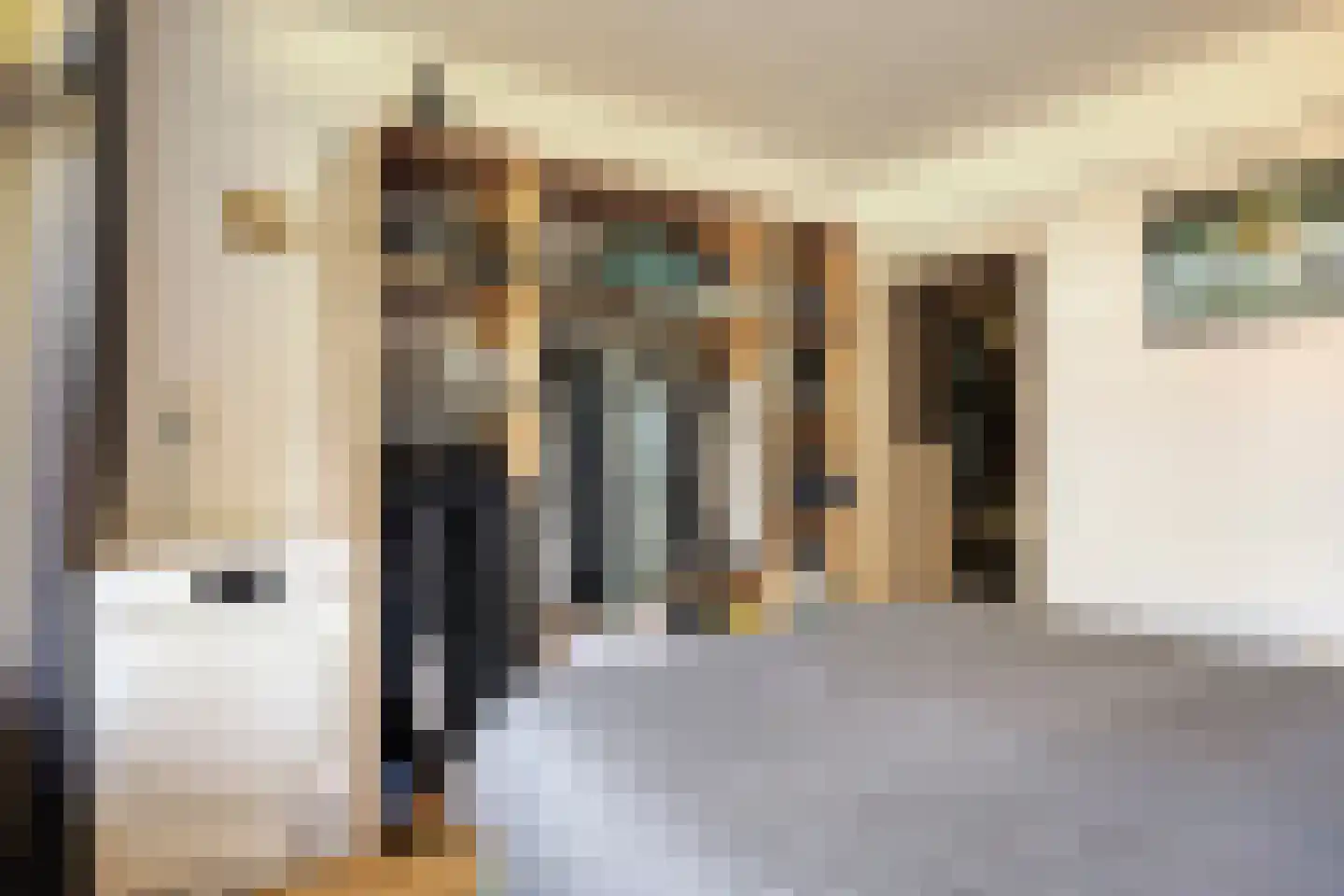 Calkoenstraat 7 Hoogeveen thumbnail 20