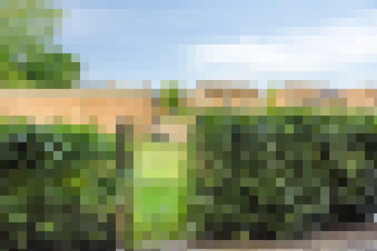 Calkoenstraat 7 Hoogeveen thumbnail 25