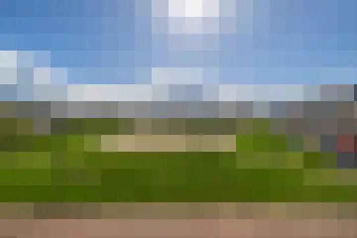 Calla 69 Voorhout thumbnail 27