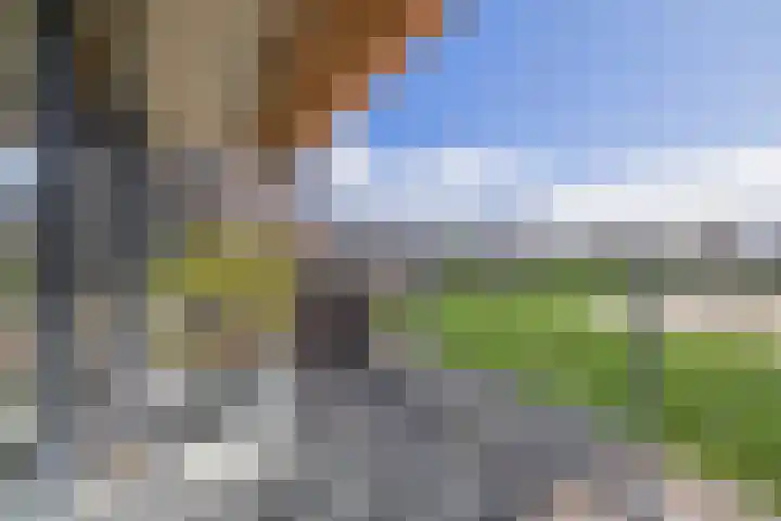 Calla 69 Voorhout thumbnail 4