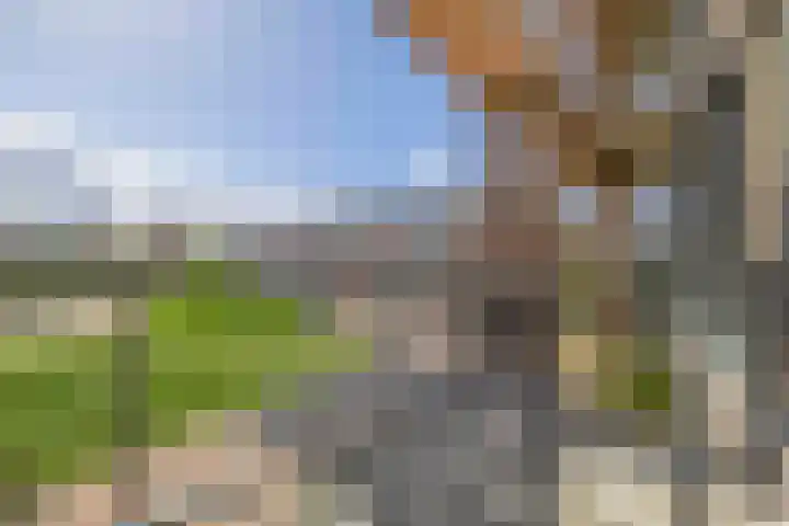 Calla 69 Voorhout thumbnail 5