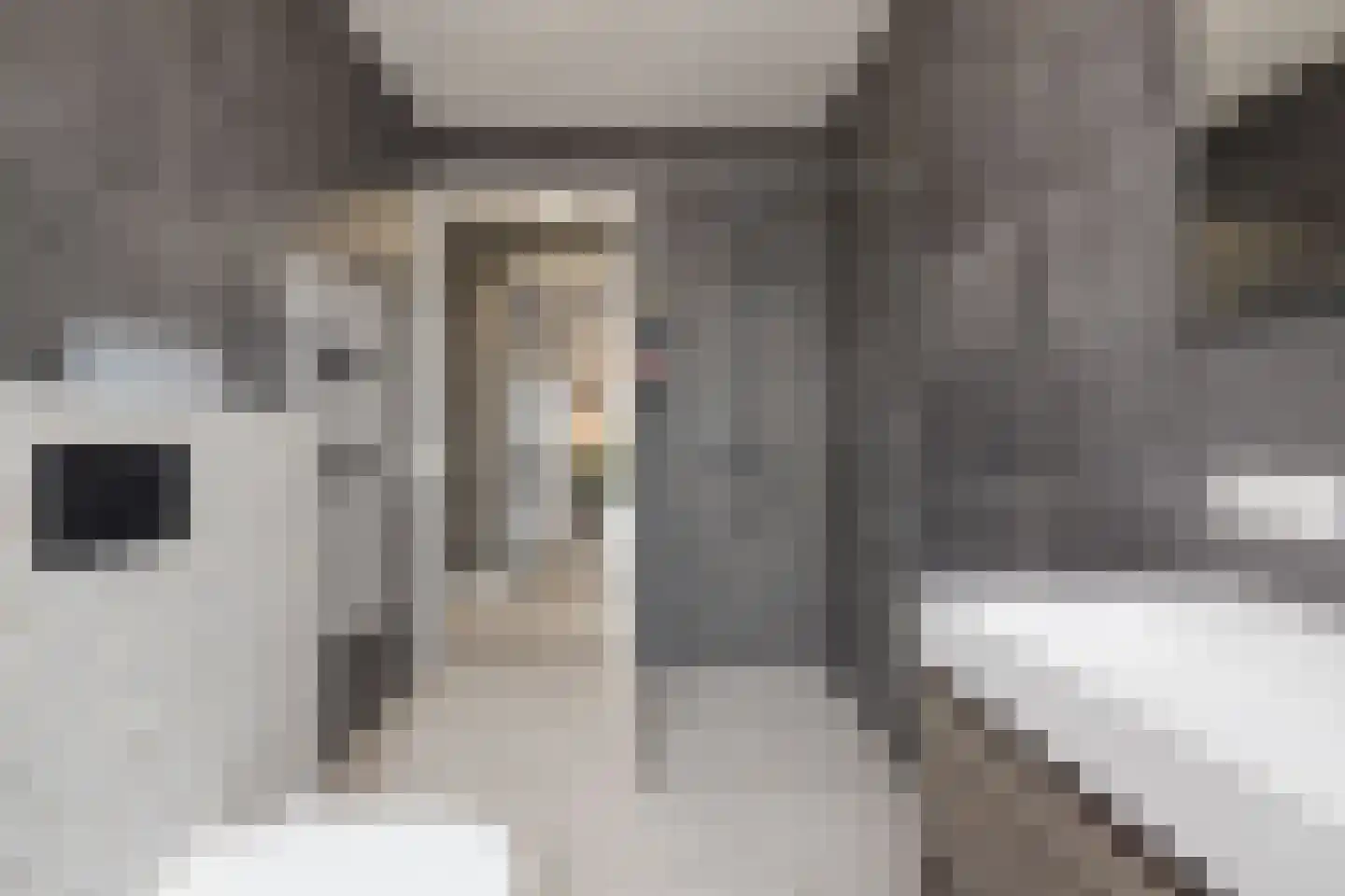 Calla 83 Voorhout thumbnail 19