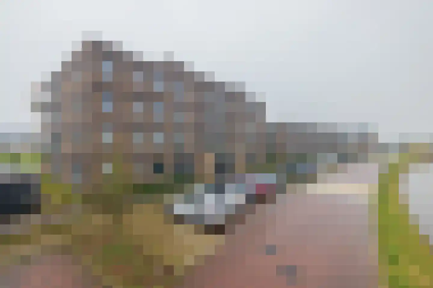 Calla 83 Voorhout thumbnail 4