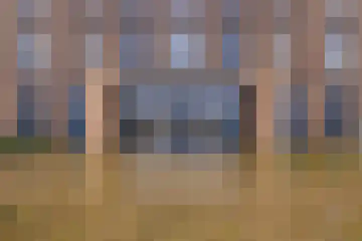 Calla 83 Voorhout thumbnail 5