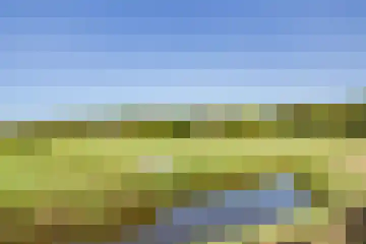 Callantsogervaart 19 A Callantsoog thumbnail 44