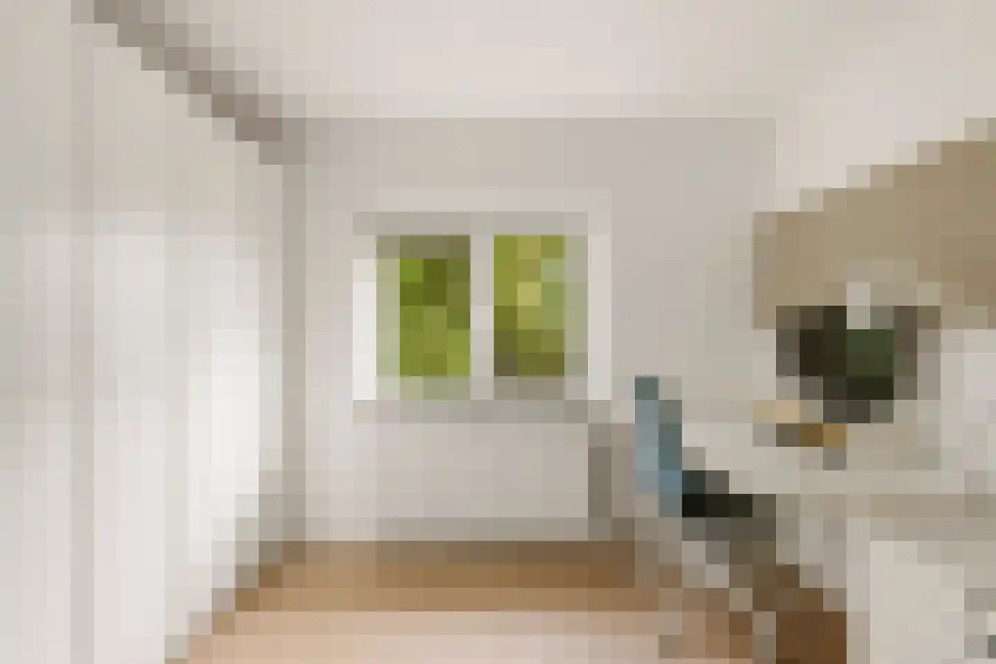 Callapad 18 Lent thumbnail 28