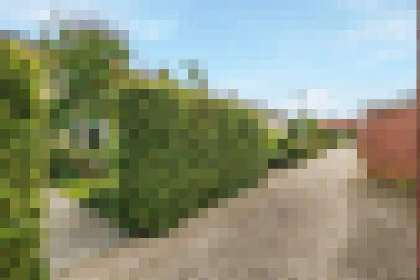 Callapad 18 Lent thumbnail 7
