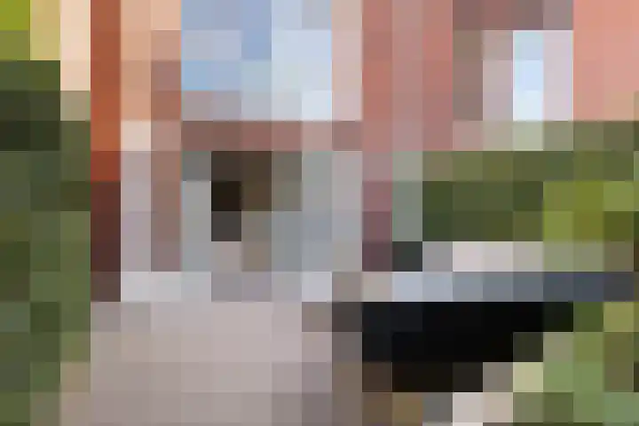 Callenbachstraat 9 Nijkerk thumbnail 15