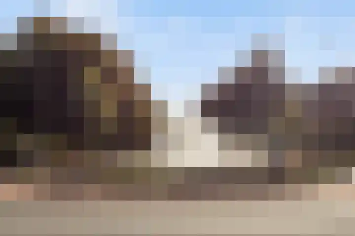 Callenbachstraat 9 Nijkerk thumbnail 30