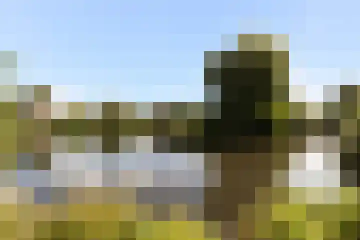 Callenbachstraat 9 Nijkerk thumbnail 31