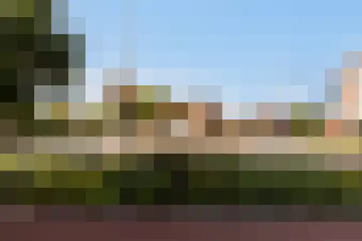 Callenbachstraat 9 Nijkerk thumbnail 32