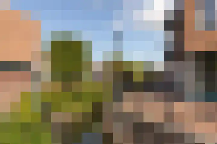 Callenbachstraat 9 Nijkerk thumbnail 33