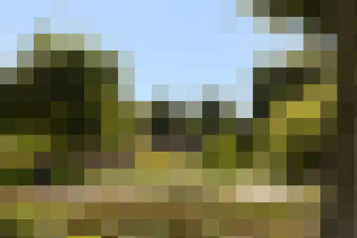 Callenbachstraat 9 Nijkerk thumbnail 4