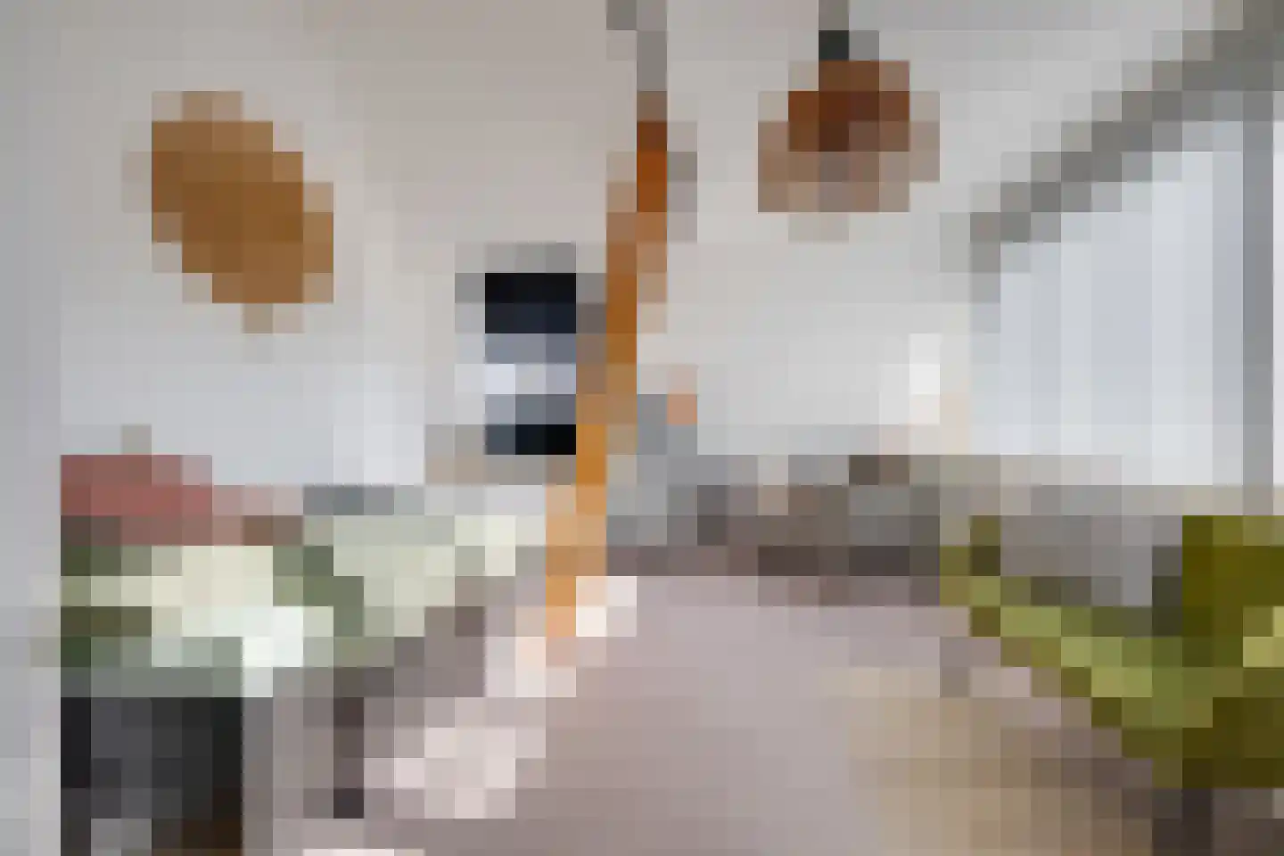 Callenburghlaan 10 Willemstad thumbnail 39