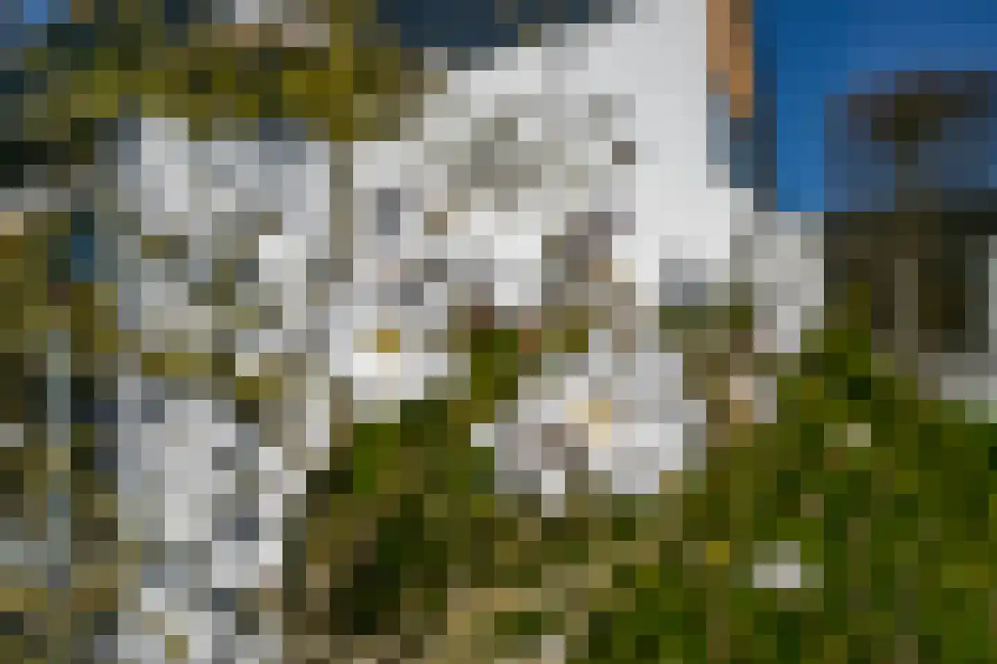 Callenburghlaan 10 Willemstad thumbnail 52