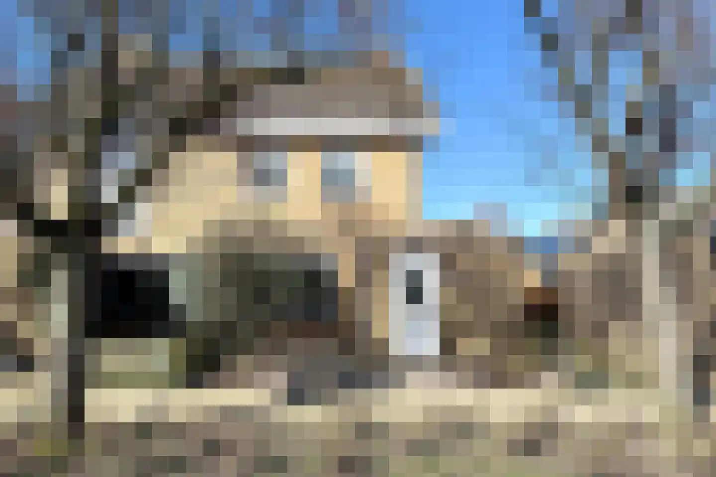 Callenburghlaan 19 Willemstad thumbnail 60