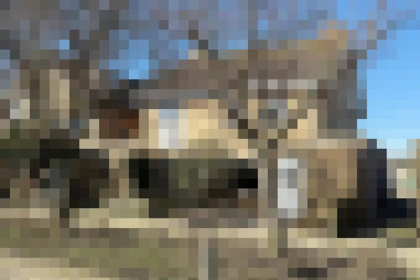 Callenburghlaan 19 Willemstad thumbnail 62
