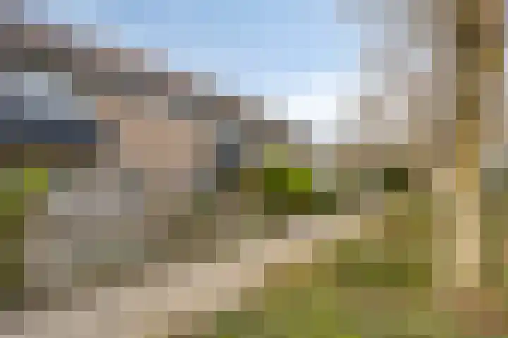 Callenburghlaan 33 Willemstad thumbnail 39