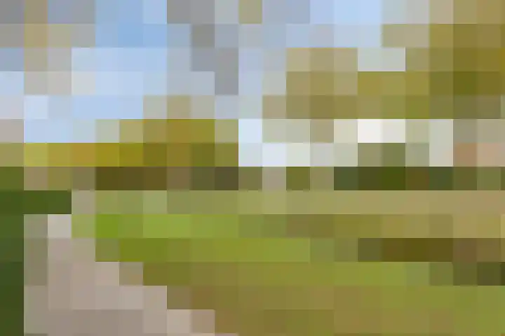 Callenburghlaan 33 Willemstad thumbnail 42