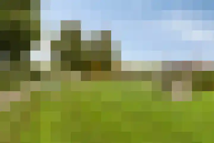 Callenburghlaan 33 Willemstad thumbnail 43